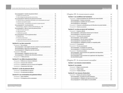 Le recouvrement des créances alimentaires – Image 4
